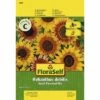 Sonnenblume 'Small Flowered Mix' FloraSelf Samenfestes Saatgut Blumensamen -FloraSelf Geschäft DV 8 6568255 03 4c DE 20180111185022