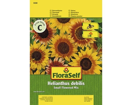 Sonnenblume 'Small Flowered Mix' FloraSelf Samenfestes Saatgut Blumensamen 3 Sonnenblume 'Small Flowered Mix' FloraSelf Samenfestes Saatgut Blumensamen
