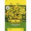 Tagetes 'Anisata' FloraSelf Samenfestes Saatgut Blumensamen -FloraSelf Geschäft DV 8 6568264 03 4c DE 20180111192014