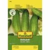 Gurke 'Delikateß' FloraSelf Samenfestes Saatgut Gemüsesamen -FloraSelf Geschäft DV 8 6568314 03 4c DE 20180111200824