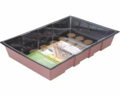 Zimmergewächshaus FloraSelf Fensterbank-Treibhaus 35x24x11 Cm Inkl. 24 Quelltabs Und Haube