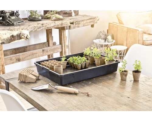 Multifunktions-Schale FloraSelf Saat-Schale 57x42x10 Cm Ohne Haube 4 Multifunktions-Schale FloraSelf Saat-Schale 57x42x10 Cm Ohne Haube – Bild 2