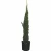 Mittelmeer-Zypresse 'Totem' FloraSelf Cupressus Sempervirens 'Totem' H 125-150 Cm Co 12 L -FloraSelf Geschäft DV 8 6858262 01 4c DE 20200310141039