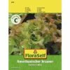 Salat 'Amerikanischer Brauner' FloraSelf Samenfestes Saatgut Salatsamen -FloraSelf Geschäft DV 8 7120900 01 4c AT 20230104141756