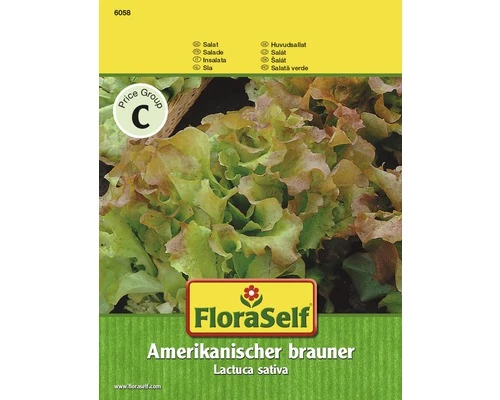 Salat 'Amerikanischer Brauner' FloraSelf Samenfestes Saatgut Salatsamen 3 Salat 'Amerikanischer Brauner' FloraSelf Samenfestes Saatgut Salatsamen