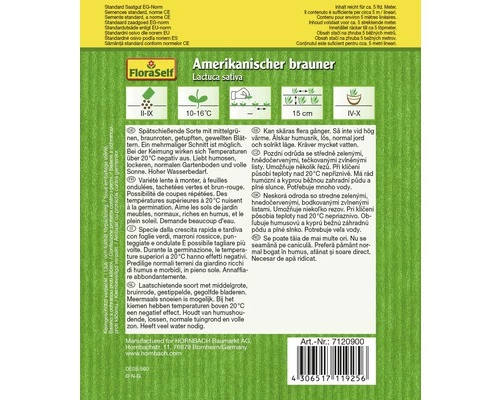 Salat 'Amerikanischer Brauner' FloraSelf Samenfestes Saatgut Salatsamen 4 Salat 'Amerikanischer Brauner' FloraSelf Samenfestes Saatgut Salatsamen – Bild 2