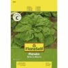 Spinat 'Matador' FloraSelf Samenfestes Saatgut Gemüsesamen -FloraSelf Geschäft DV 8 7120906 01 4c AT 20230104141756