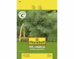 Dill 'Einjährig' FloraSelf Samenfestes Saatgut Kräutersamen