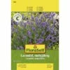 Lavendel 'Mehrjährig' FloraSelf Samenfestes Saatgut Kräutersamen -FloraSelf Geschäft DV 8 7120971 01 4c AT 20230104141756