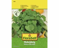 Zitronenmelisse FloraSelf Samenfestes Saatgut Kräutersamen