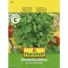 Zitronenbasilikum 'Einjährig' FloraSelf Samenfestes Saatgut Kräutersamen -FloraSelf Geschäft DV 8 7120987 01 4c AT 20221213154651