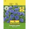 Kornblume 'Blauer Junge' FloraSelf Samenfestes Saatgut Blumensamen -FloraSelf Geschäft DV 8 7122892 01 4c AT 20230104141756