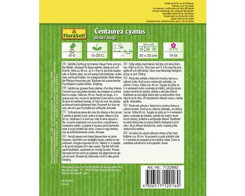 Kornblume 'Blauer Junge' FloraSelf Samenfestes Saatgut Blumensamen 4 Kornblume 'Blauer Junge' FloraSelf Samenfestes Saatgut Blumensamen – Bild 2
