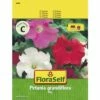 Petunie 'Mix' FloraSelf Samenfestes Saatgut Blumensamen -FloraSelf Geschäft DV 8 7122944 01 4c AT 20230104141756