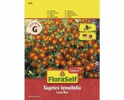 Tagetes 'Luna Rot' FloraSelf Select Samenfestes Saatgut Blumensamen