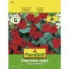 Kapuzinerkresse 'Kaiserin Viktoria' FloraSelf Samenfestes Saatgut Blumensamen -FloraSelf Geschäft DV 8 7122961 01 4c AT 20230104141756