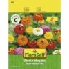Zinnie 'Small Flowered Mix' FloraSelf Samenfestes Saatgut Blumensamen 1 Zinnie 'Small Flowered Mix' FloraSelf Samenfestes Saatgut Blumensamen -FloraSelf Geschäft DV 8 7122966 01 4c AT 20230104141756