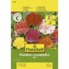 Landnelken 'Mix' FloraSelf Samenfestes Saatgut Blumensamen 1 Landnelken 'Mix' FloraSelf Samenfestes Saatgut Blumensamen -FloraSelf Geschäft DV 8 7122993 01 4c AT 20180105105222