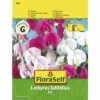Wicken 'Mix' FloraSelf Samenfestes Saatgut Blumensamen -FloraSelf Geschäft DV 8 7122996 01 4c AT 20190410160843