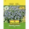 Vergissmeinnicht 'Blue' FloraSelf Blumensamen 1 Vergissmeinnicht 'Blue' FloraSelf Blumensamen -FloraSelf Geschäft DV 8 7122999 01 4c AT 20190410160921