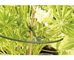 Staudenhalter FloraSelf Kunststoff Vario Ø 40 Cm 3 Stk -FloraSelf Geschäft DV 8 7531924 04 4c DE 20181217203649