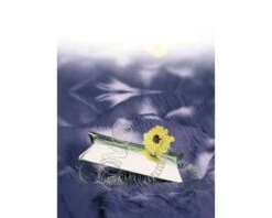 Bindedraht FloraSelf Metall Verzinkt Ø 2,0 Mm 50 M -FloraSelf Geschäft DV 8 7531940 01 4c DE 20160421105711