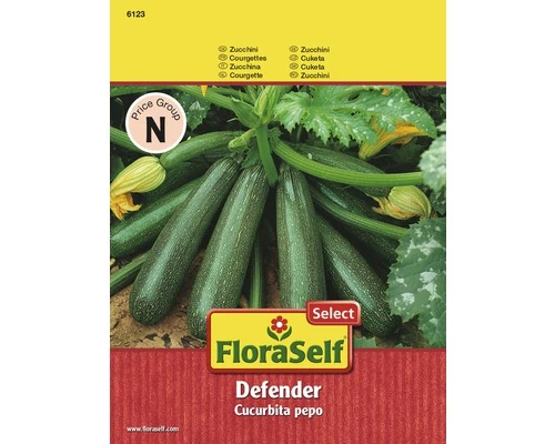 Zucchini 'Defender' FloraSelf Select F1 Hybride Gemüsesamen 3 Zucchini 'Defender' FloraSelf Select F1 Hybride Gemüsesamen