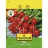 Radieschen 'Sora' FloraSelf Samenfestes Saatgut Gemüsesamen -FloraSelf Geschäft DV 8 8074189 01 4c AT 20190411093246