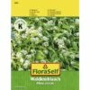 Bärlauch 'Waldknoblauch' FloraSelf Samenfestes Saatgut Kräutersamen -FloraSelf Geschäft DV 8 8074195 02 4c AT 20230104141756