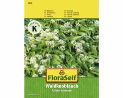 Bärlauch 'Waldknoblauch' FloraSelf Samenfestes Saatgut Kräutersamen