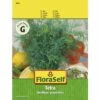 Dill 'Tetra' FloraSelf Samenfestes Saatgut Kräutersamen 1 Dill 'Tetra' FloraSelf Samenfestes Saatgut Kräutersamen -FloraSelf Geschäft DV 8 8074197 01 4c AT 20221213154651