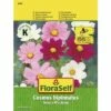 Schmuckkörbchen 'Sonata Mischung' FloraSelf Samenfestes Saatgut Blumensamen -FloraSelf Geschäft DV 8 8074210 01 4c AT 20190411093106