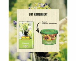 Pflanzerde FloraSelf 60 L -FloraSelf Geschäft DV 8 8705830 03 4c AT 20220804104752