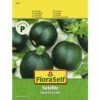 Zucchini 'Satelite' FloraSelf F1 Hybride Gemüsesamen 2 Zucchini 'Satelite' FloraSelf F1 Hybride Gemüsesamen -FloraSelf Geschäft DV 8 8872801 01 4c AT 20190411092847