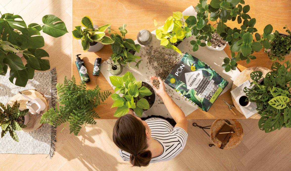 FloraSelf Geschäft -FloraSelf Geschäft aap